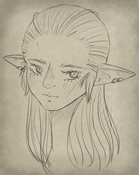 Headshot sketch of a long haired elezen (elf eared) woman from the game Final Fantasy XIV staring at the viewer.
